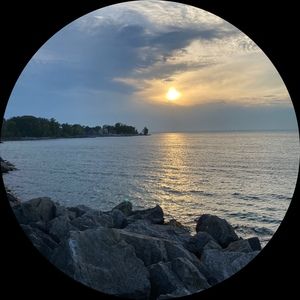 Meet your Posher, Bean